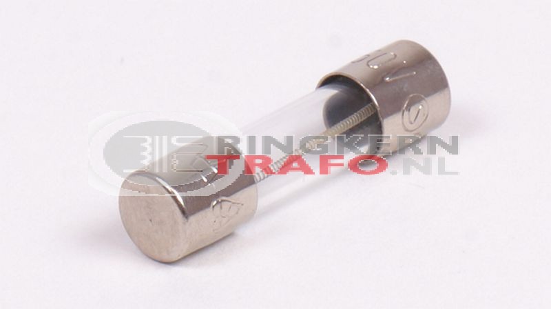 Glaszekering 250mA 5x20mm