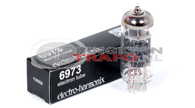 Electro Harmonix 6973 pentode