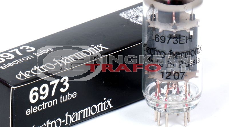 Electro Harmonix 6973 pentode